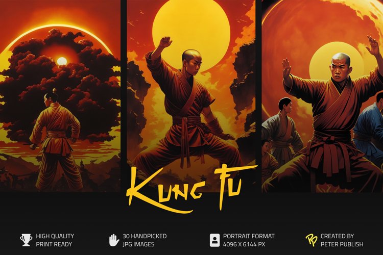 KUNG FU CHINA WARRIOR