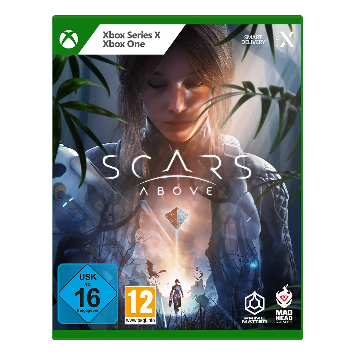 SCARS ABOVE