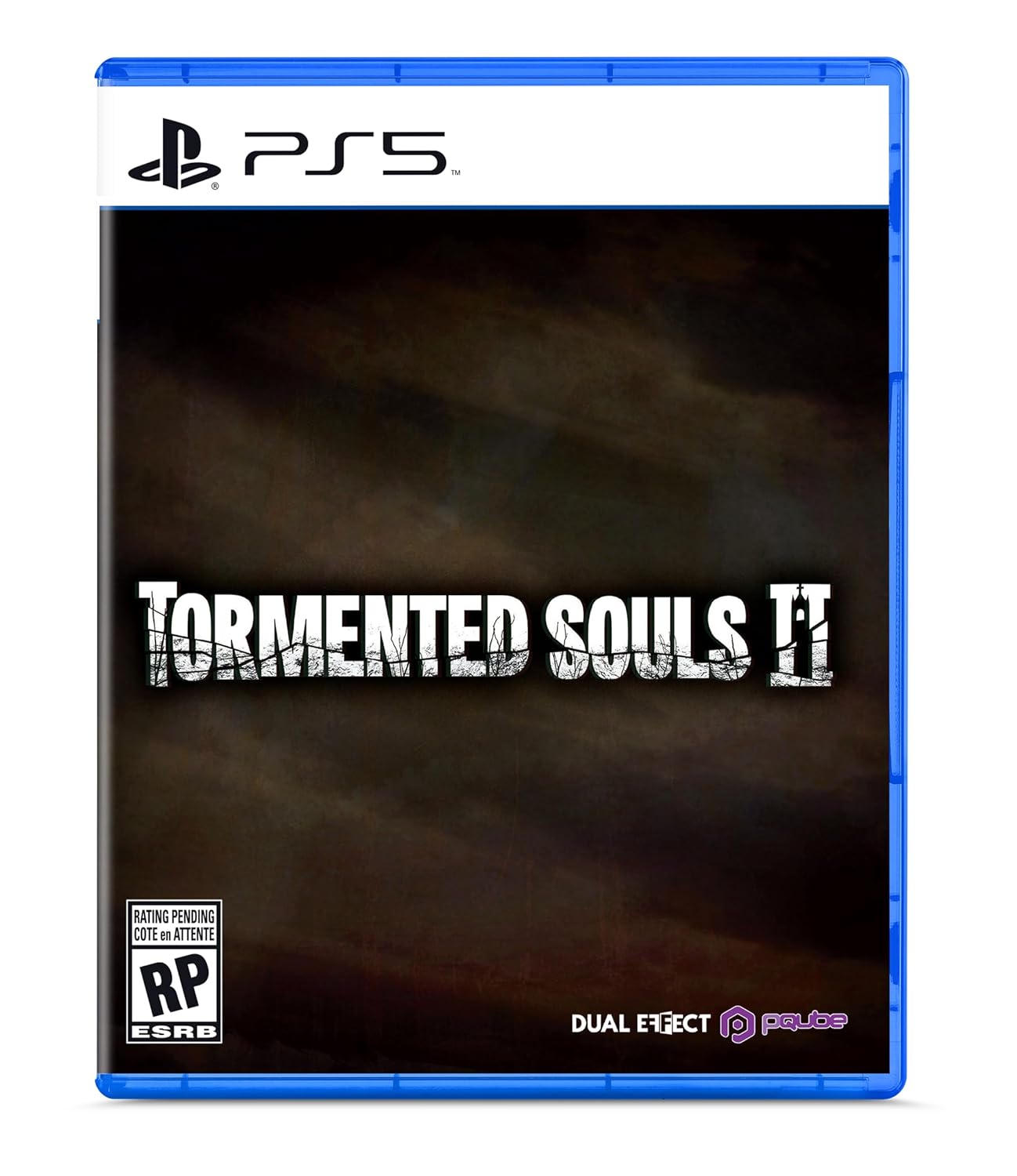 TORMENTED SOUL 2
