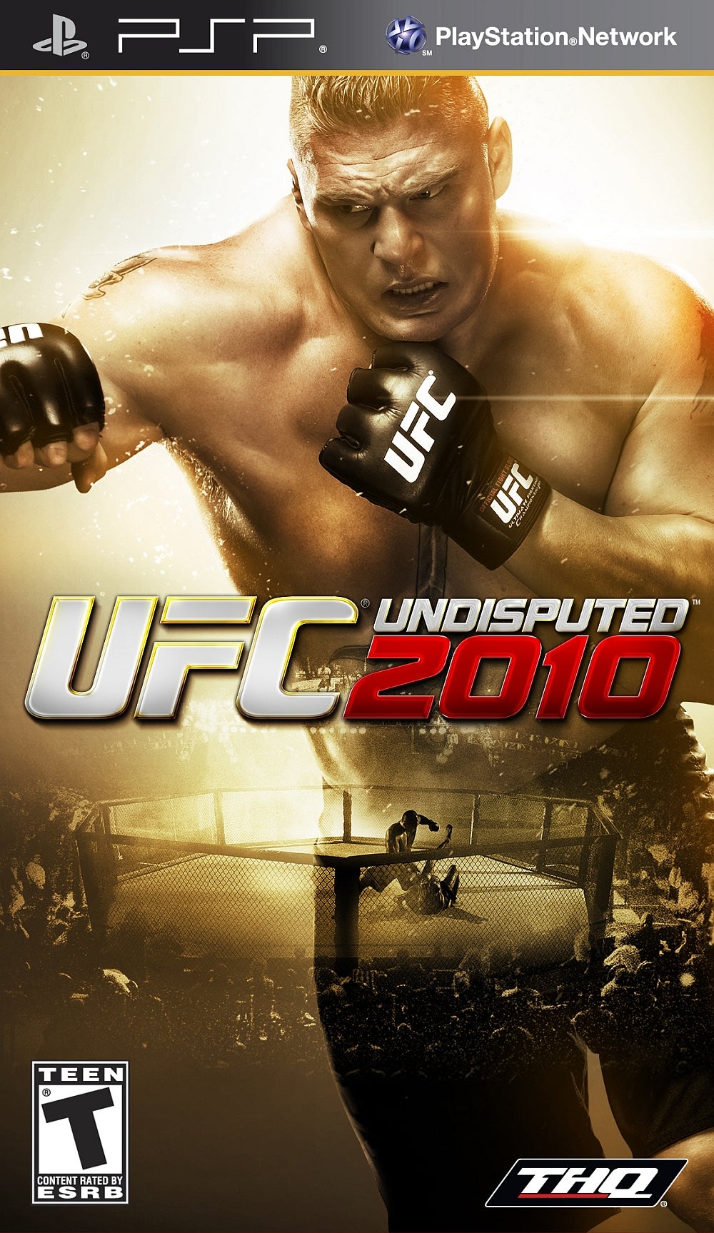 UFC 2010