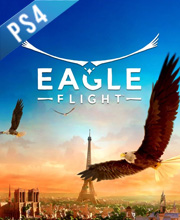 EAGLE FLIGHT