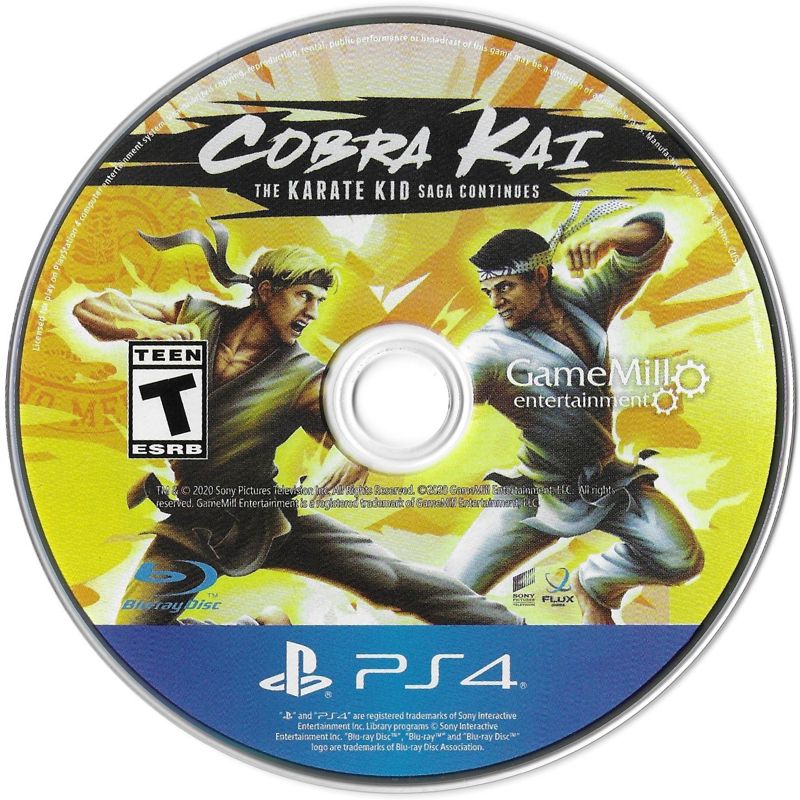 COBRA KAI THE KARATE KID SAGA